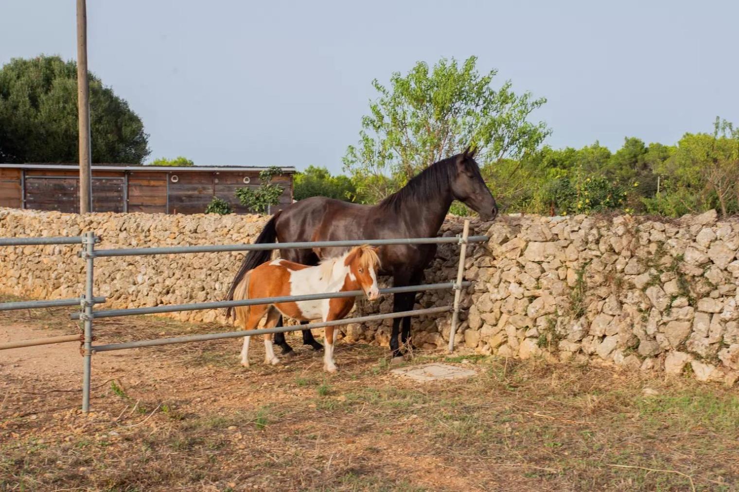 Menorca Llimpet Farm stay