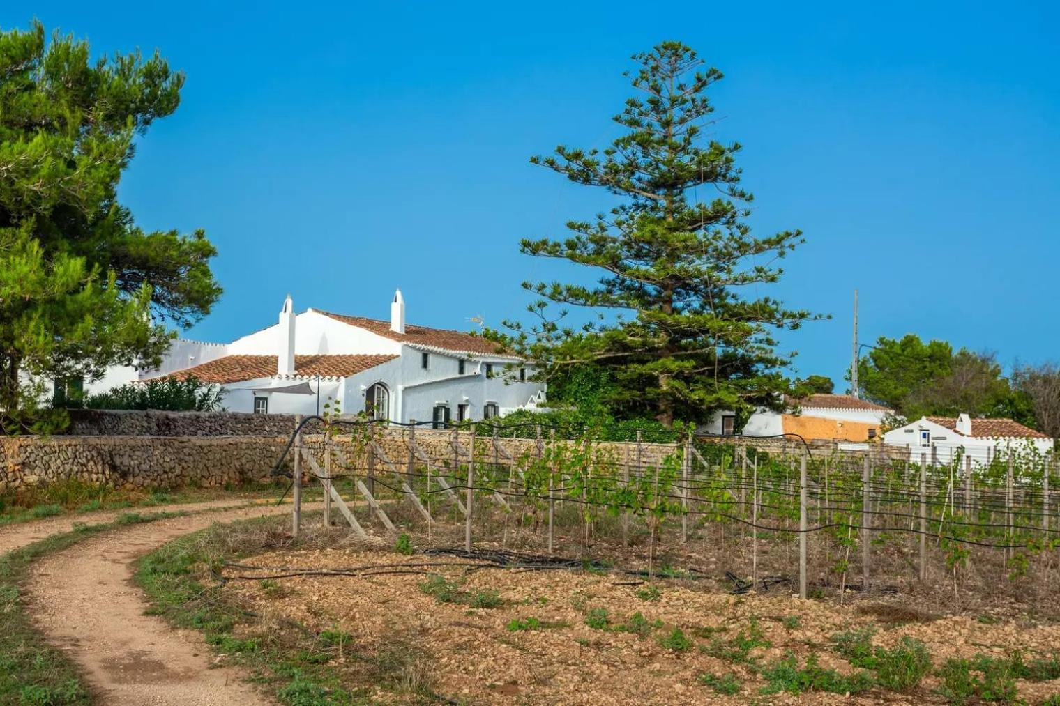 Estada en una granja Menorca Llimpet Alaior